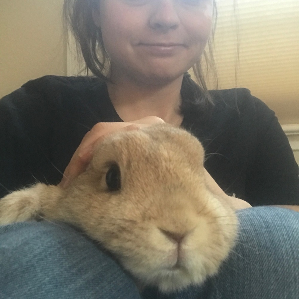 Meet your Posher, Simone